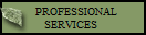   PROFESSIONAL
SERVICES 