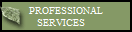 PROFESSIONAL
SERVICES   